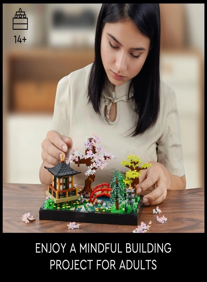 Cherry Blossom Bonsai Tree