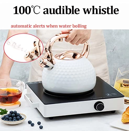 Whistling Kettle - 2.8L