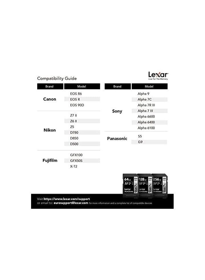 Professional 1667x - 64GB