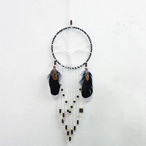 Dreamcatcher - Siderosphere, feathers, lines, wood beads.