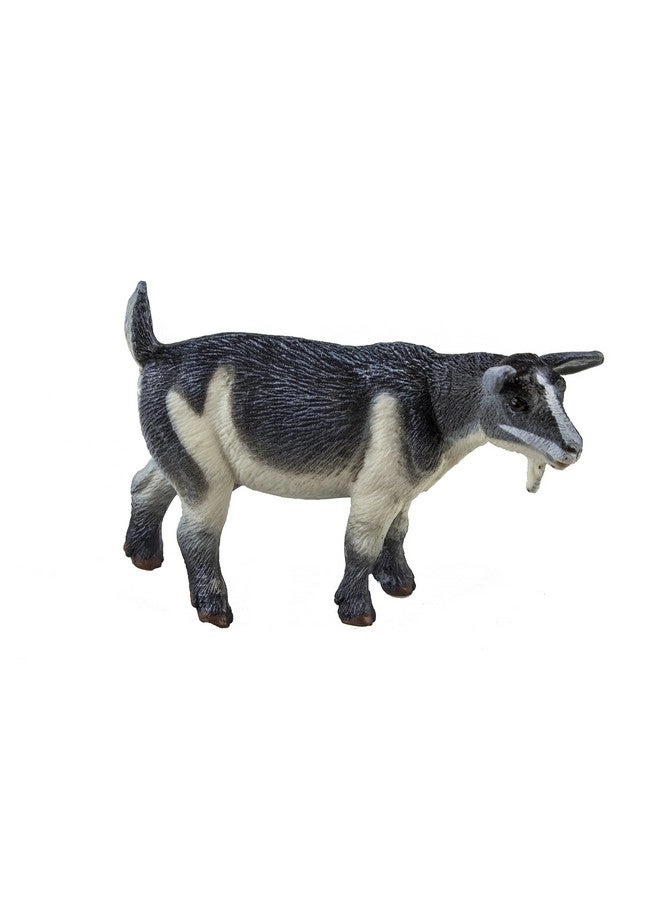 Safari Farm - Pygmy Nanny Goat