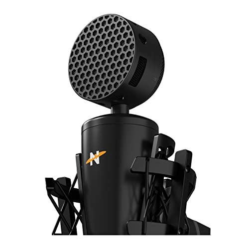 King Bee II XLR Microphone