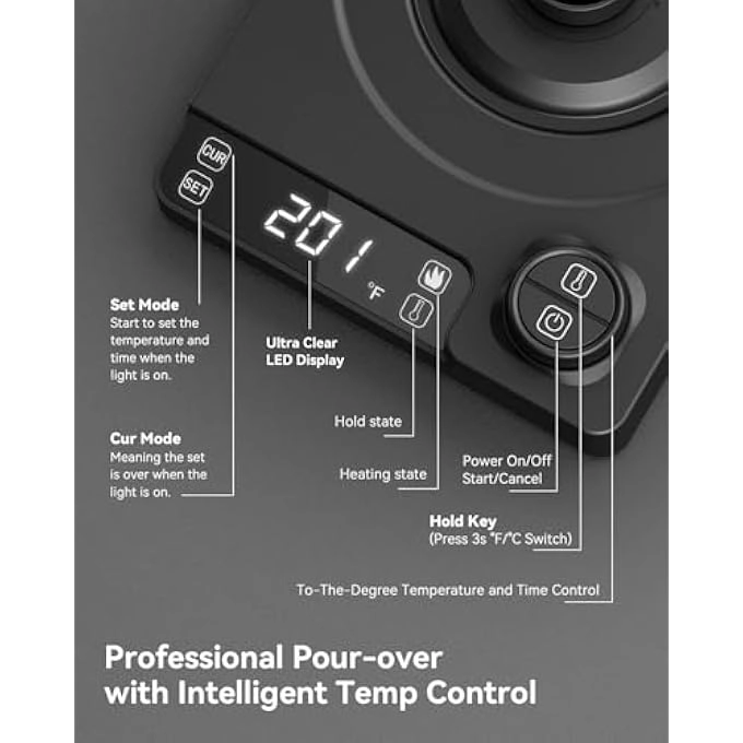 Temperature Control Electric Kettle