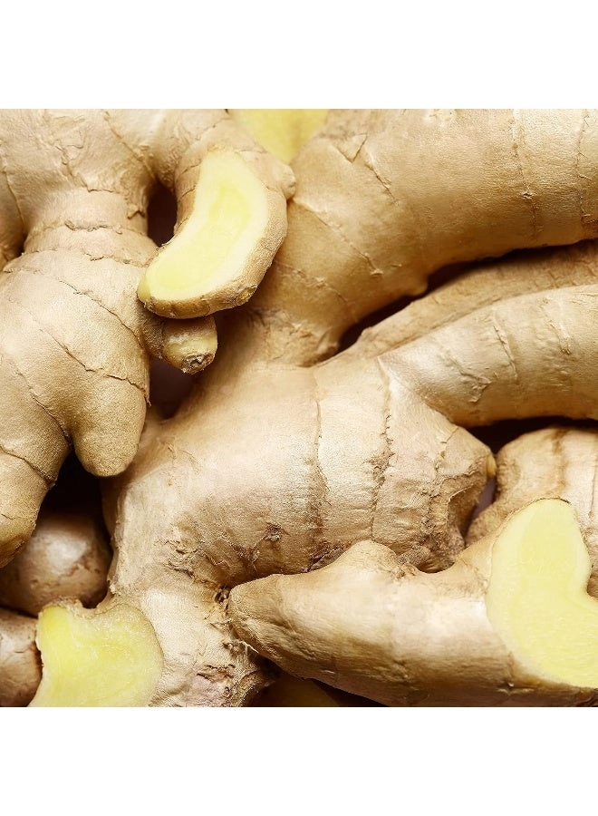 Celebrate Now Eau de Parfum 80ml