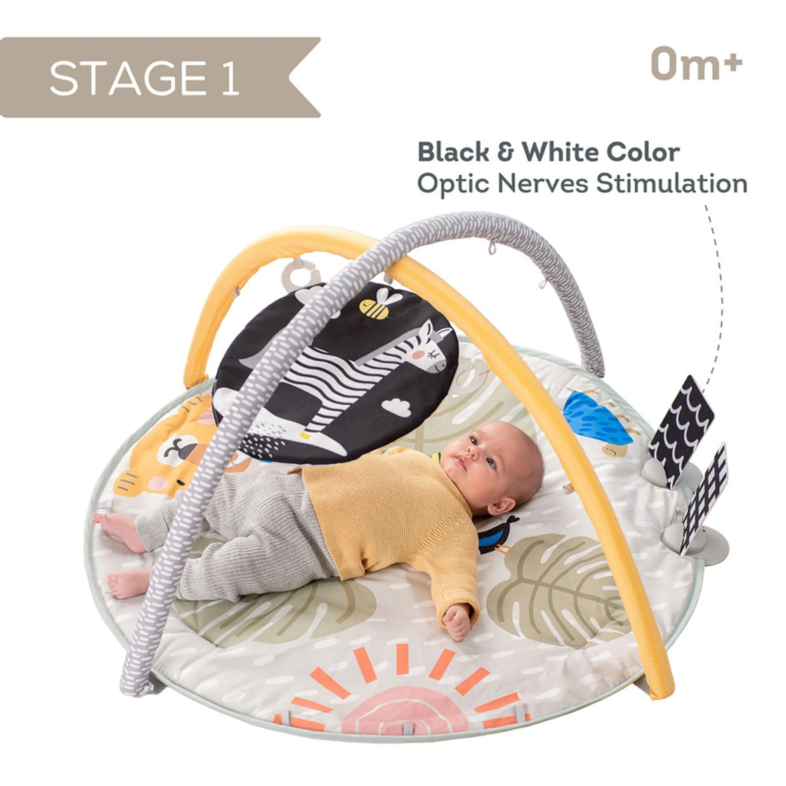 Savannah 360 Activity Gym - 0 month