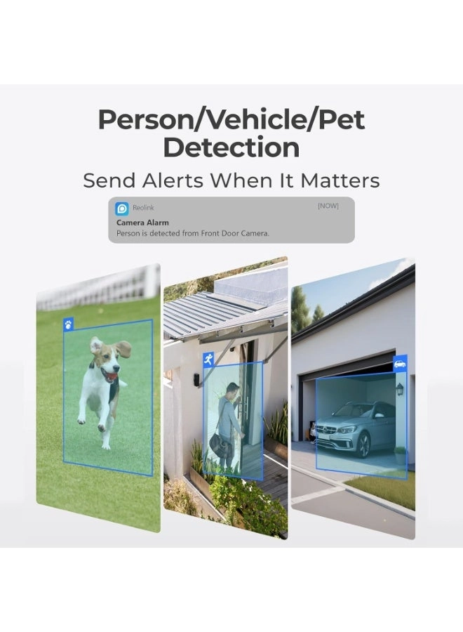 NVS8-12MD4 - 4 cameras 8-channel 12MP