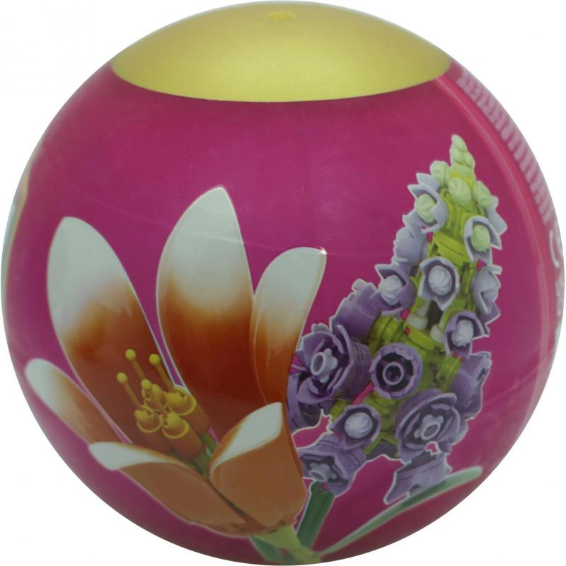 MAX - 3 Years and Above