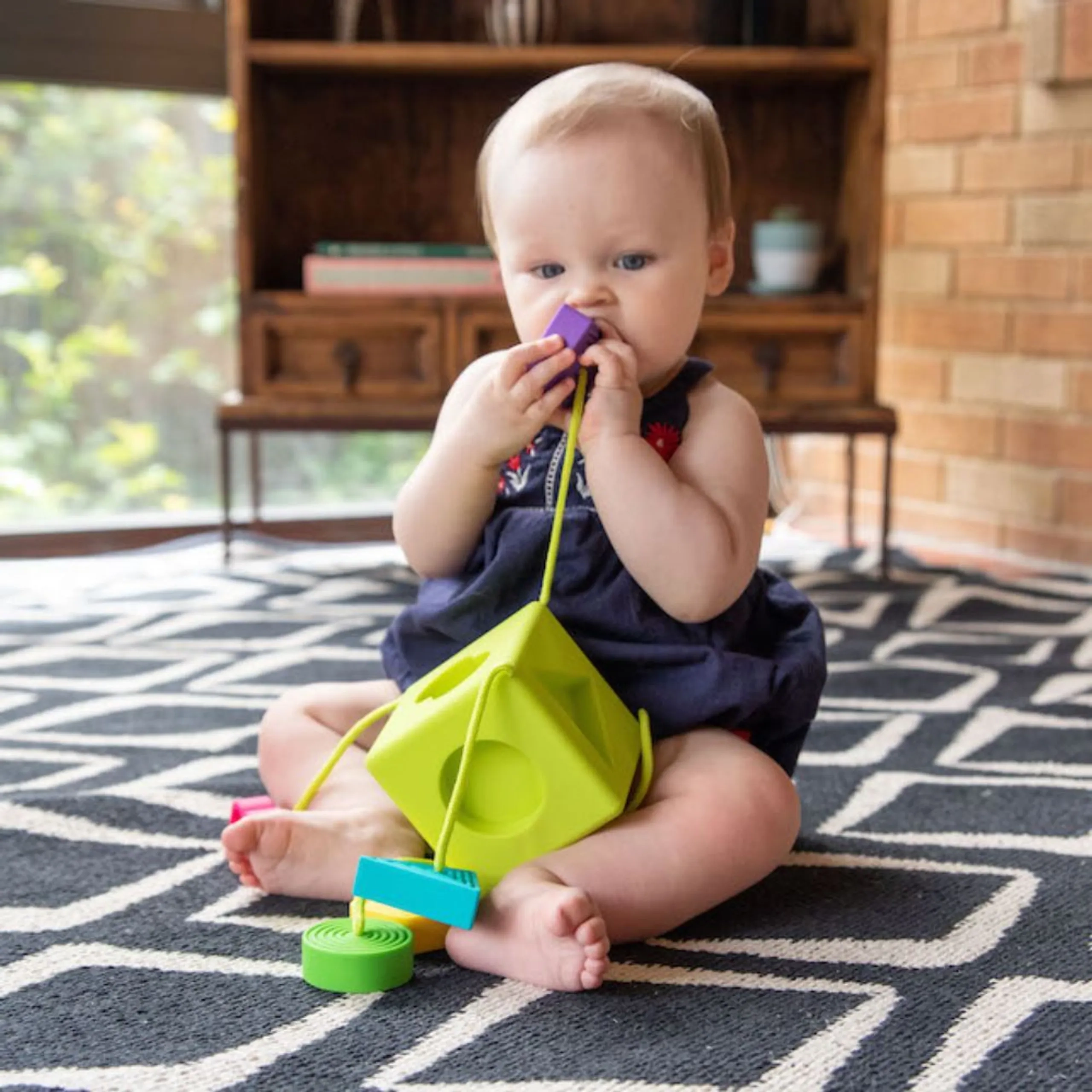 OombeeCube - 6 months+