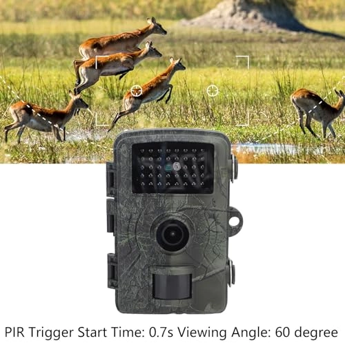Mini Trail Camera - 16MP