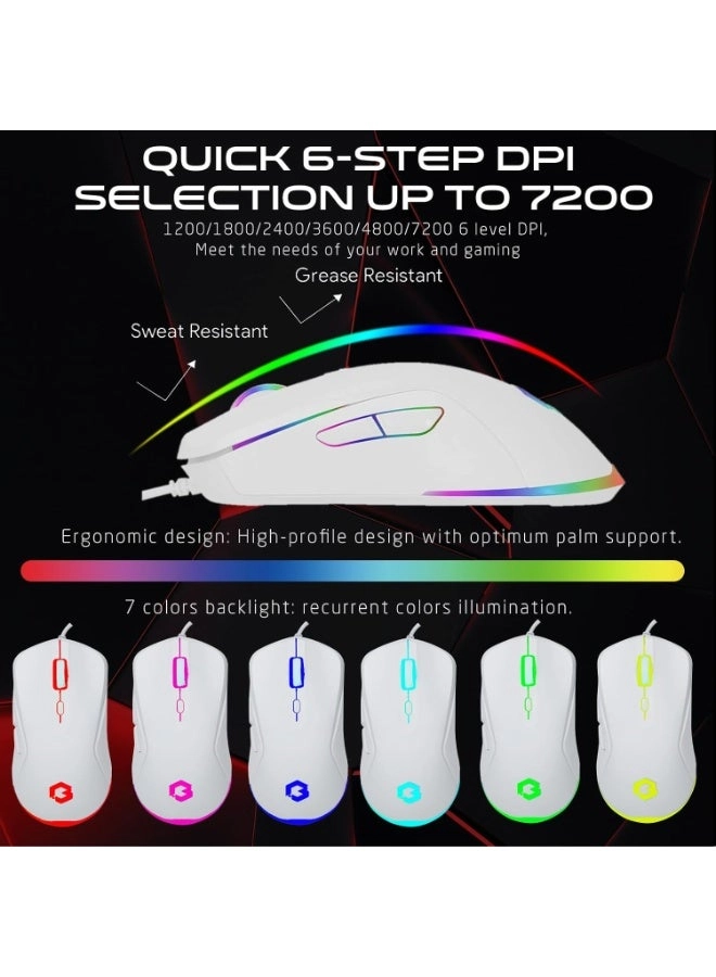 Keyboard + Headset + Mouse + Mousepad