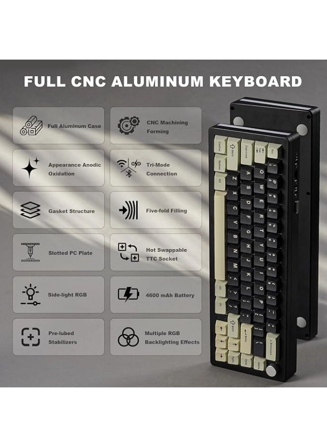 AL66 - 65% Wired/Wireless