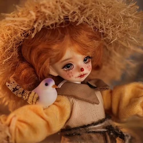 BJD Doll - 1/6 Resin Girl Ages 15+ Set