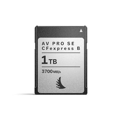 AV PRO CFexpress B SE - 1 TB