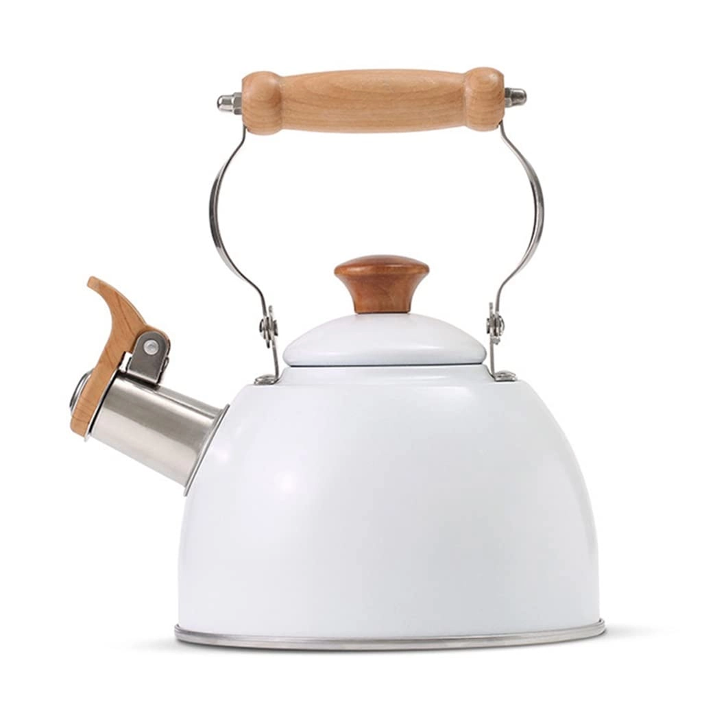 Stainless Steel Kettle - 2.5L