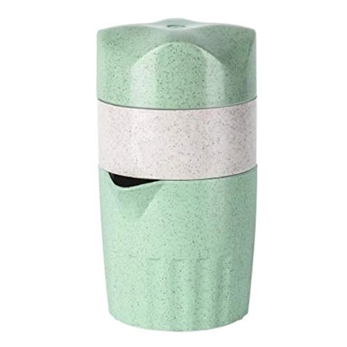 Mini Juicer - 300W 500ml