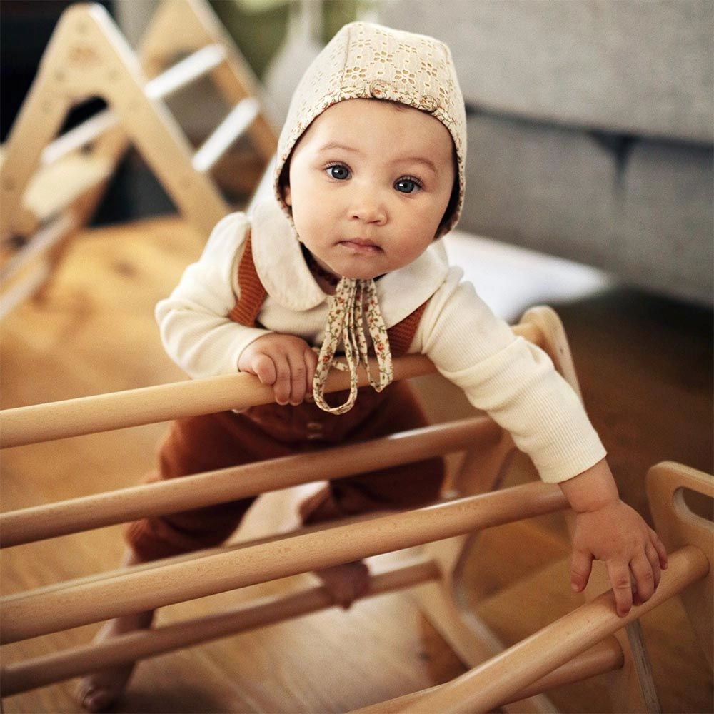 Pikler Climber Triangle - 12 months+