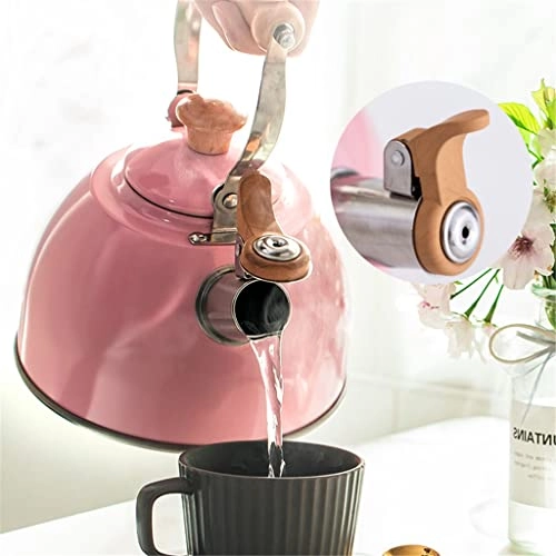 Stainless Steel Kettle - 2.5L