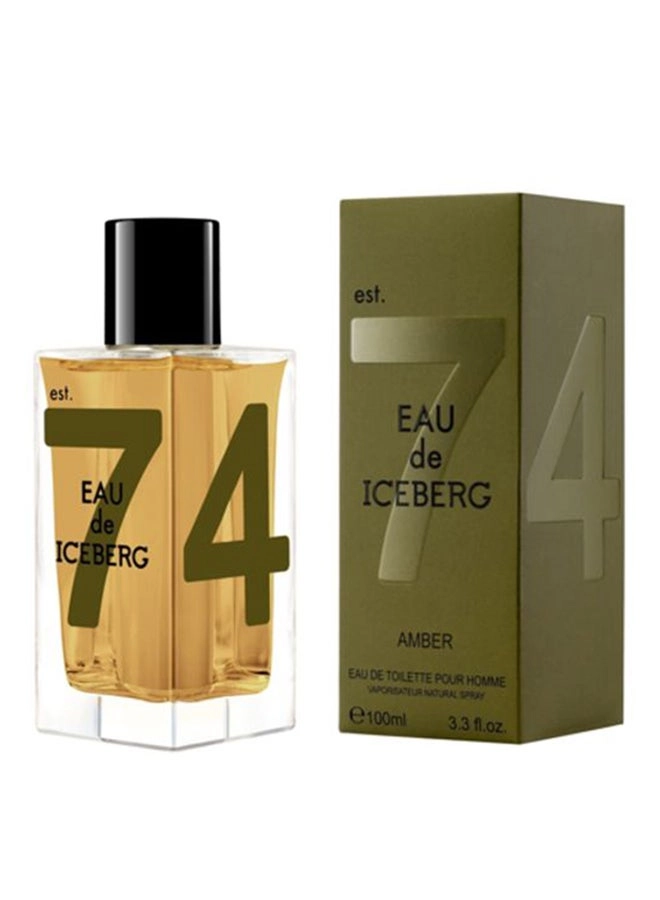 Amber Man Eau de Toilette 100 ml