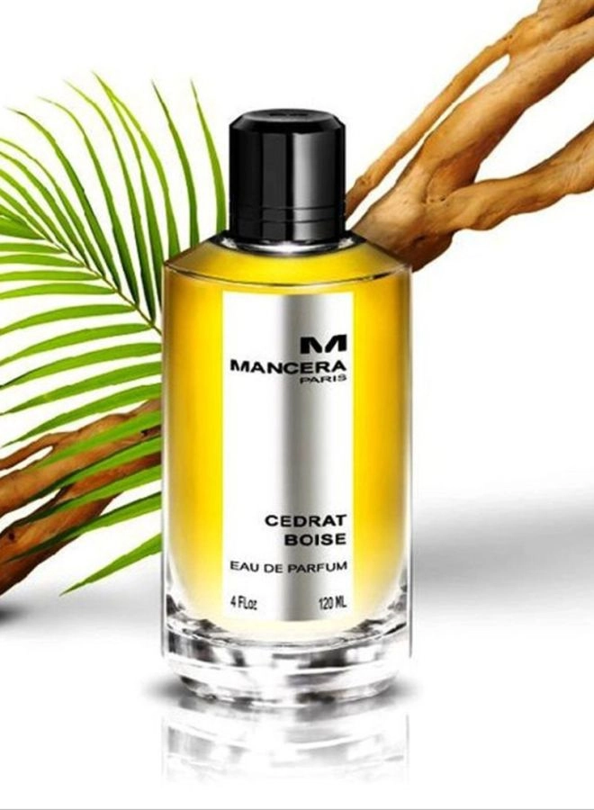 Cedrat Boise Eau de Parfum 120ml
