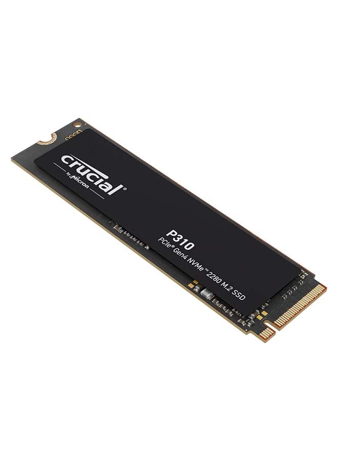P310 - 2TB M.2