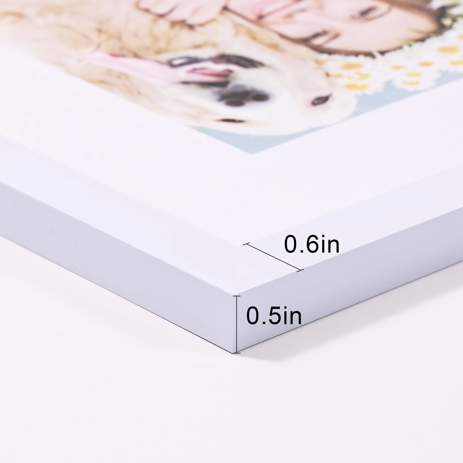 Picture Frame - 12x16