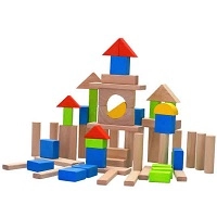 Toy Building Blocks