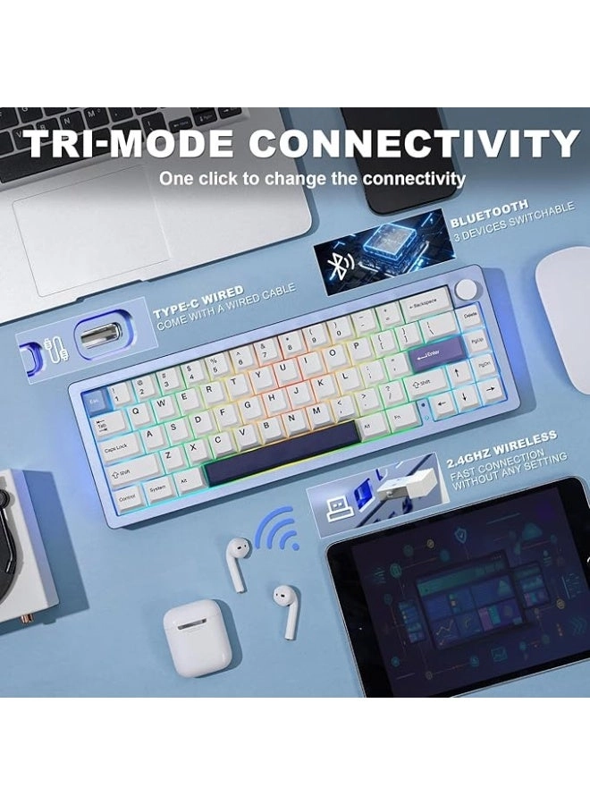 AL66 - 65% Wired/Wireless