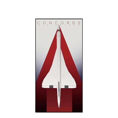 Display Wallboard for Lego Concorde (10318 C) - 60 x 120 cm Wall Mount