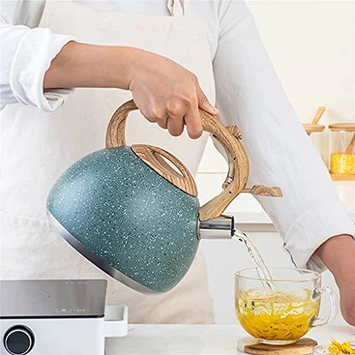 Whistling Kettle - 2.8L