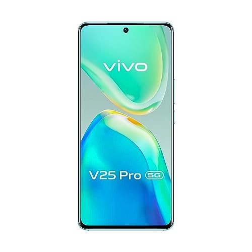 (Renewed) V25 Pro - 12GB 256GB