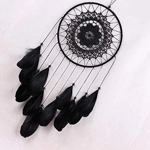 Dreamcatcher - Siderosphere, feathers, lines, wood beads.