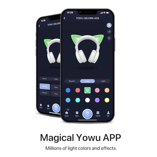 Cat Ear 4GS Wireless Headset