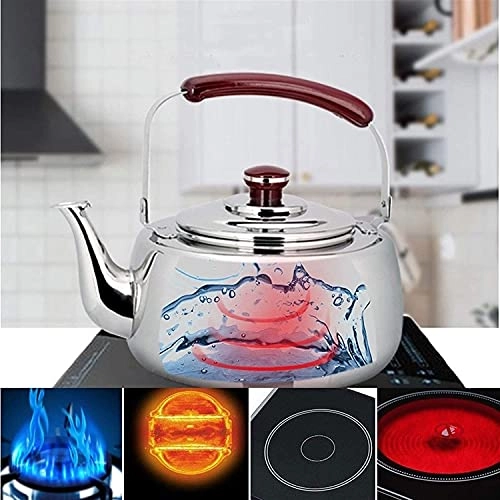 Stovetop Induction Whistling Kettle - 5L