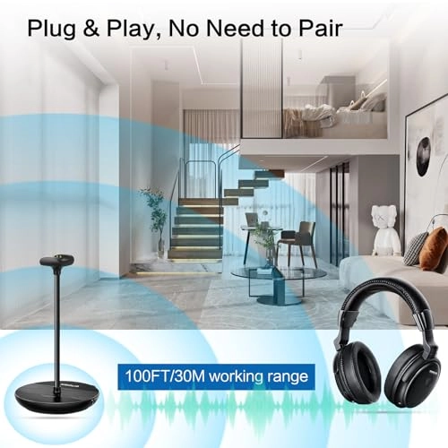 SM-829D1 Wireless Headphone