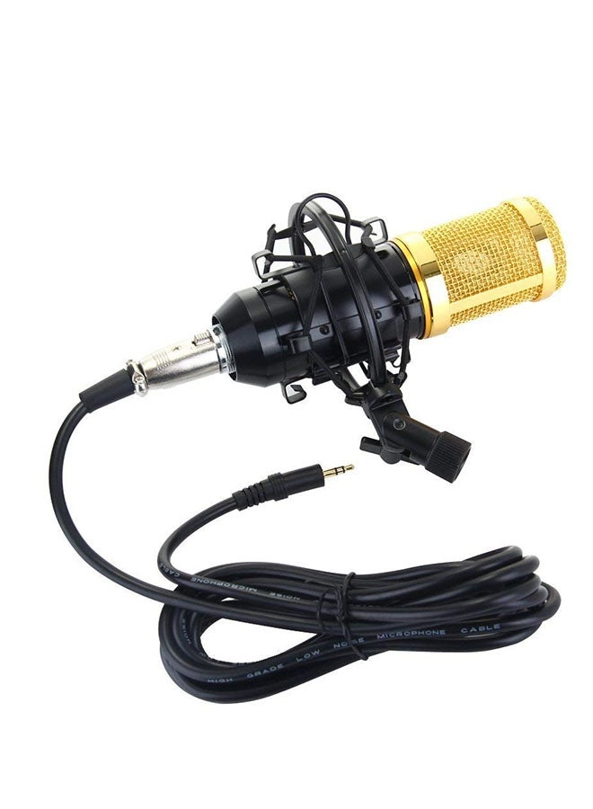 BM-800 + Shock Mount Wired Microphone