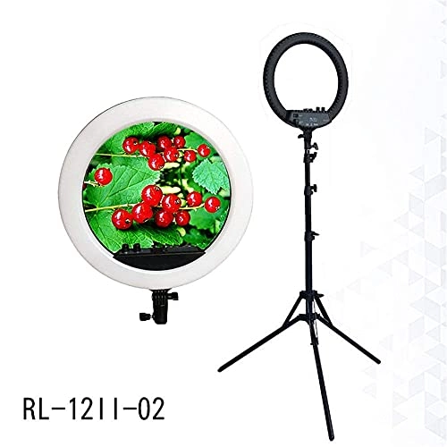 LED Ring Light - 22 Inch