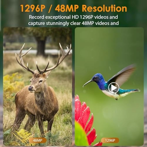 A252H - 24 megapixel