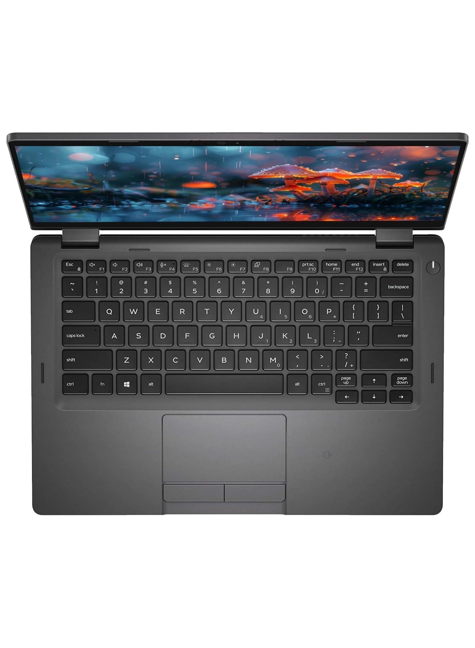 Latitude 5300 - 13.3'' Core i5-8365U 12GB DDR4 256GB SSD