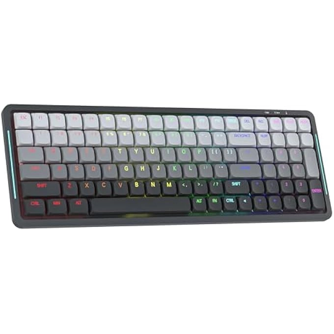 RK100 - Wired/Wireless