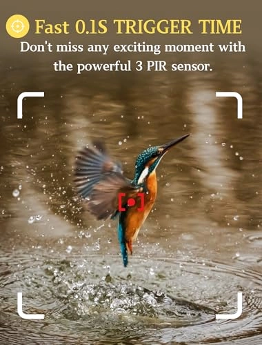 TrailCam-Basic - 16MP