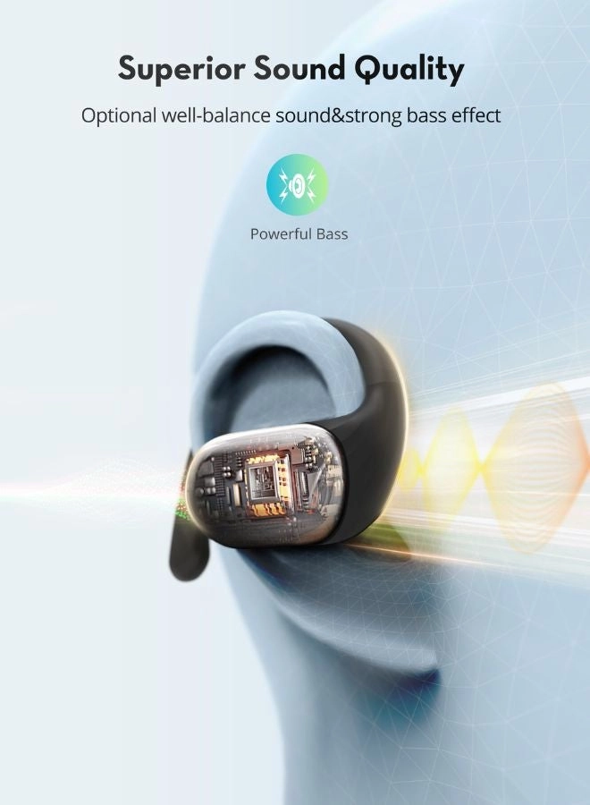 RP-BH1016 Wireless Earbud