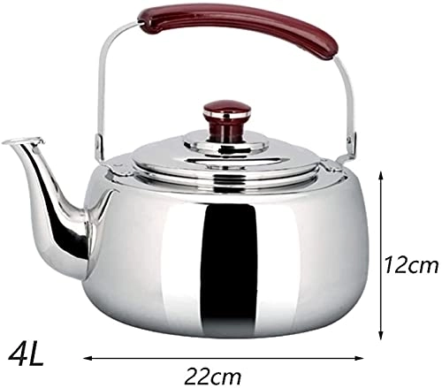 Stovetop Induction Whistling Kettle - 5L