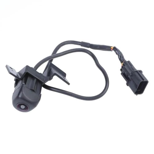 95760-D3101 - Night vision