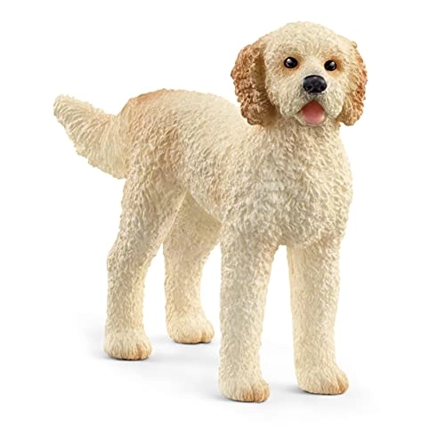 Golden Doodle - 3 yr(s)