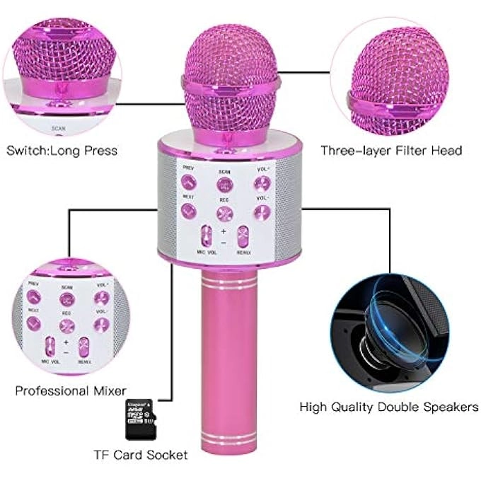 rayihni Karaoke Microphone Pack