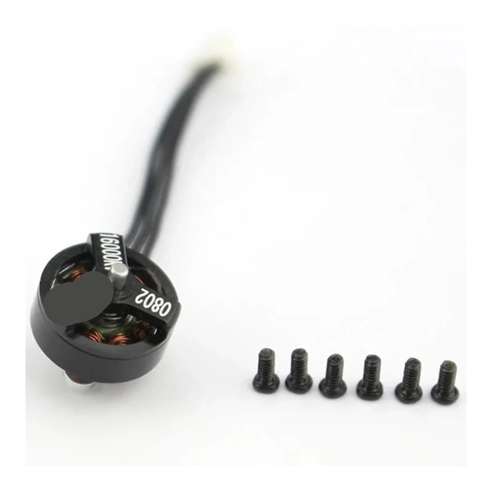 Brushless Motor