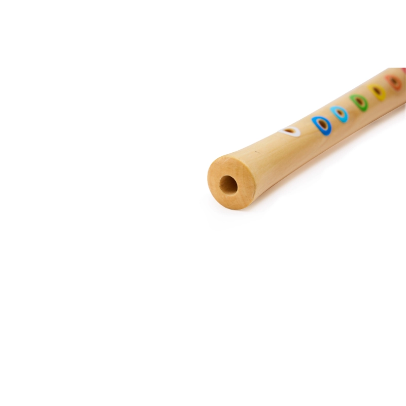 Mini Musician's Starter Recorder - Suitable for 3 years & above