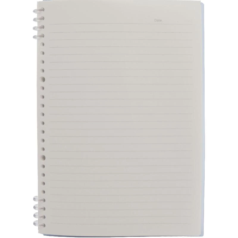 Notebook 19 X 26 cm Spiral - Grid 100 Sheets