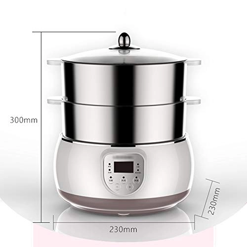 Electric Steamer - 6L