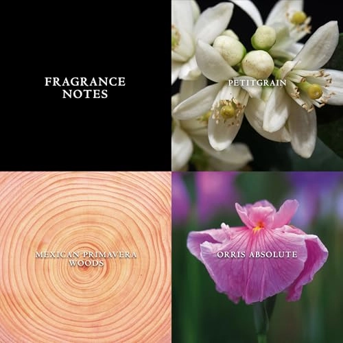 Artisan Pure Eau de Toilette - 75ml